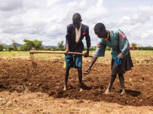 Read more about the article Why is Uganda experiencing a food crisis?
