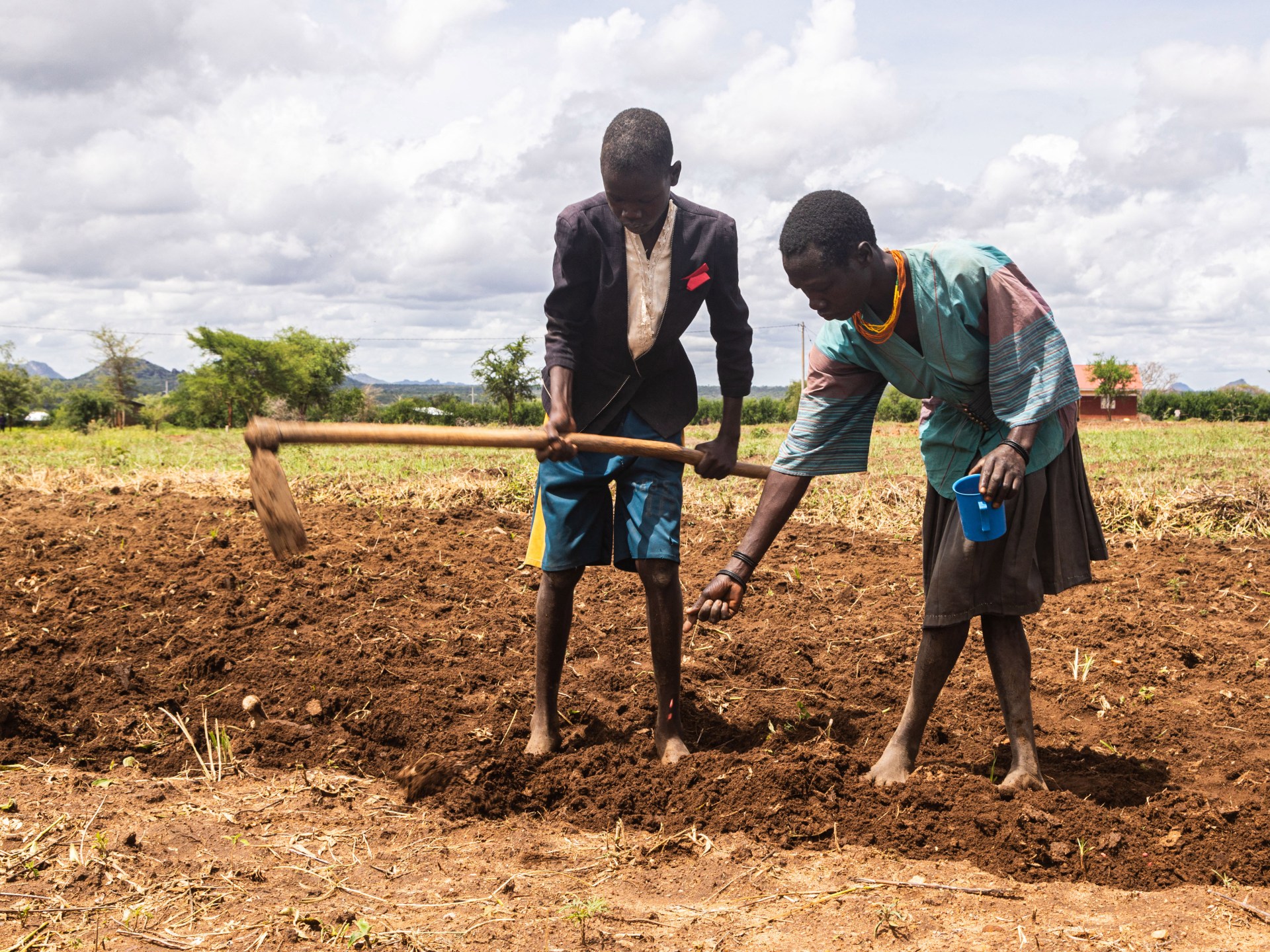Read more about the article Why is Uganda experiencing a food crisis?