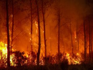 Read more about the article Photos: France, Spain battle ‘monster’ wildfires as more heat looms | Climate News