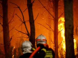 Read more about the article Macron calls crisis meeting of French cabinet as blaze approaches Bordeaux