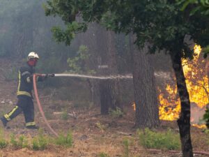 Read more about the article Wildfires in Spain and France force evacuation of 200,000 people