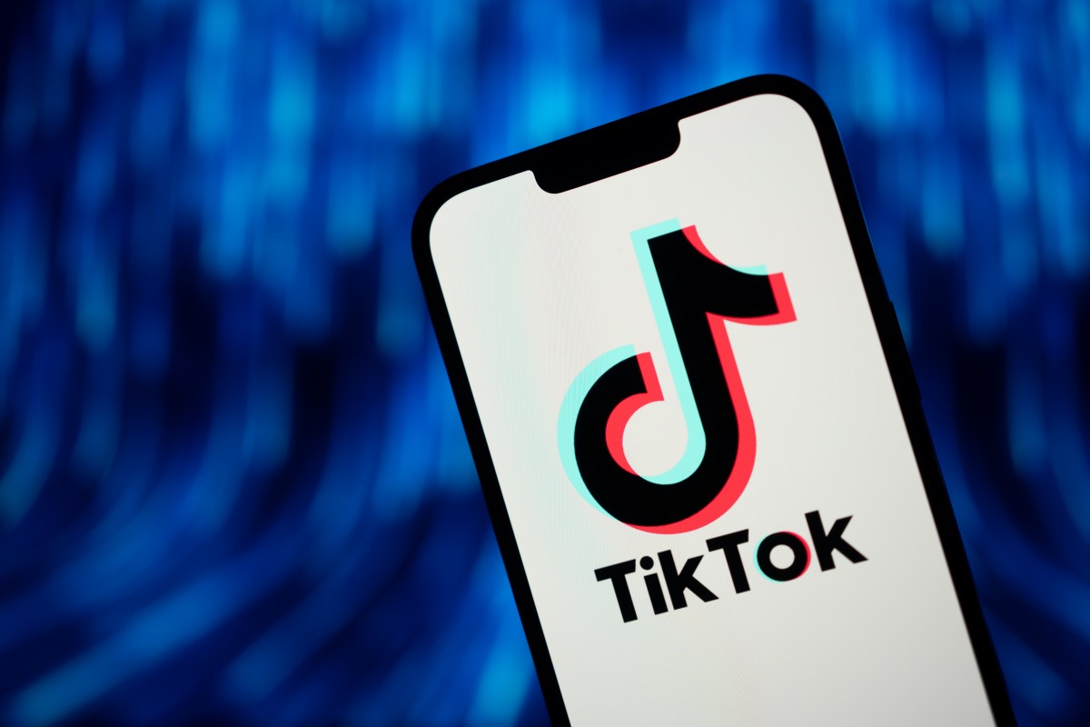 Read more about the article Federal employees can download TikTok on their work phones again