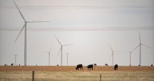Read more about the article States join fight against Trump administration’s wind…