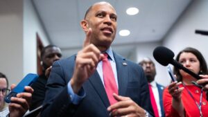 Read more about the article Democrats backs 5 new candidates in push for House control at midterms