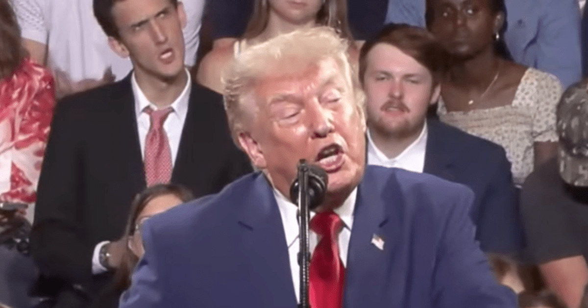You are currently viewing Rally attendee steals the show by mimicking Trump’s gestures | Donald Trump