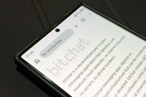 Read more about the article India’s move against Jack Dorsey’s Bitchat sparks legal debate