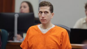 Read more about the article Expert says key hair evidence was not Kohberger’s as plea battle heats up
