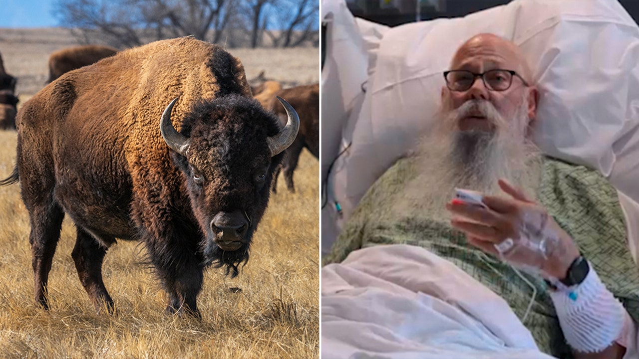 Read more about the article Yellowstone bison attack grandfather speaks out from his hospital bed
