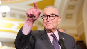 Read more about the article Chuck Schumer sidesteps DSA question as socialist wing gains ground