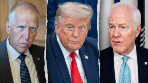 Read more about the article Cornyn and Tillis vow to block AG Blanche after confirming Garland