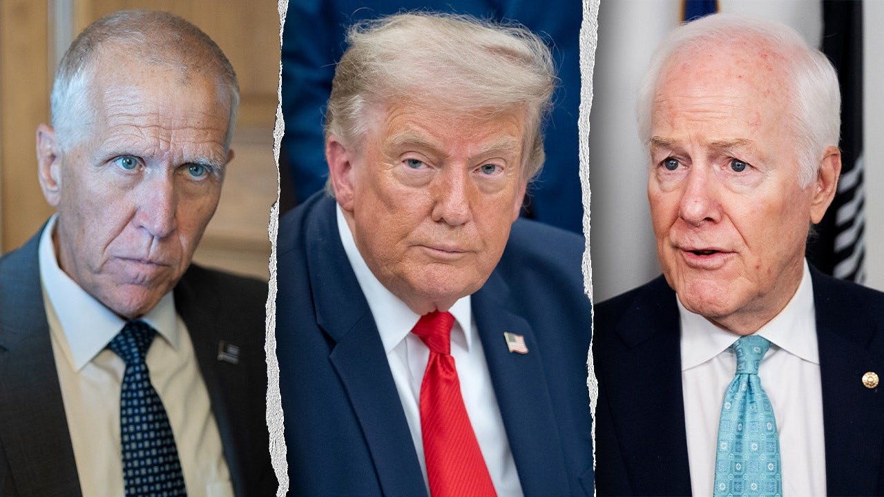 Read more about the article Cornyn and Tillis vow to block AG Blanche after confirming Garland