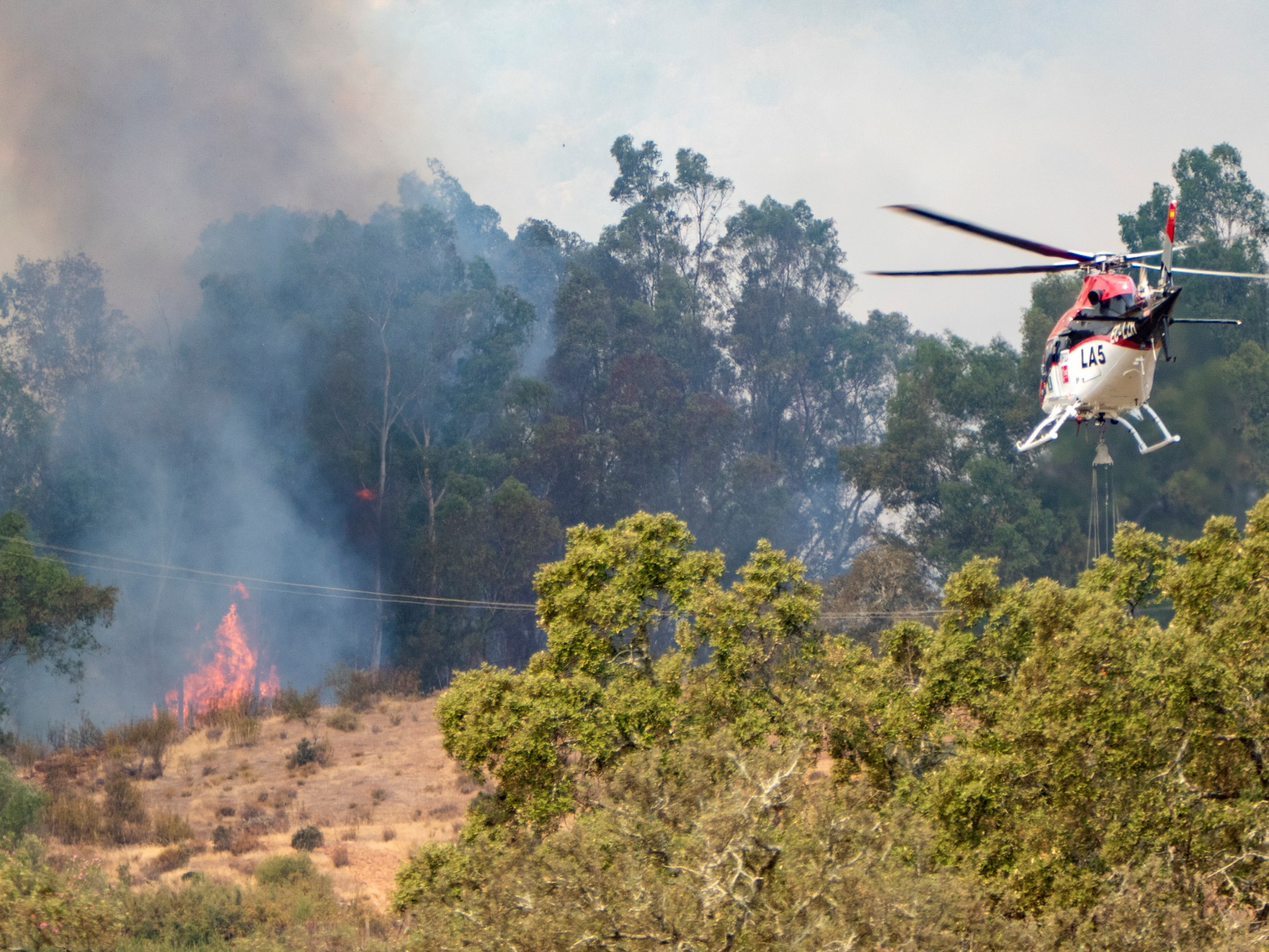 Read more about the article Spain and France battle raging wildfires, face high risk of more