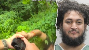 Read more about the article ICE files detainer after Honduran national tries to disarm Fairfax officer