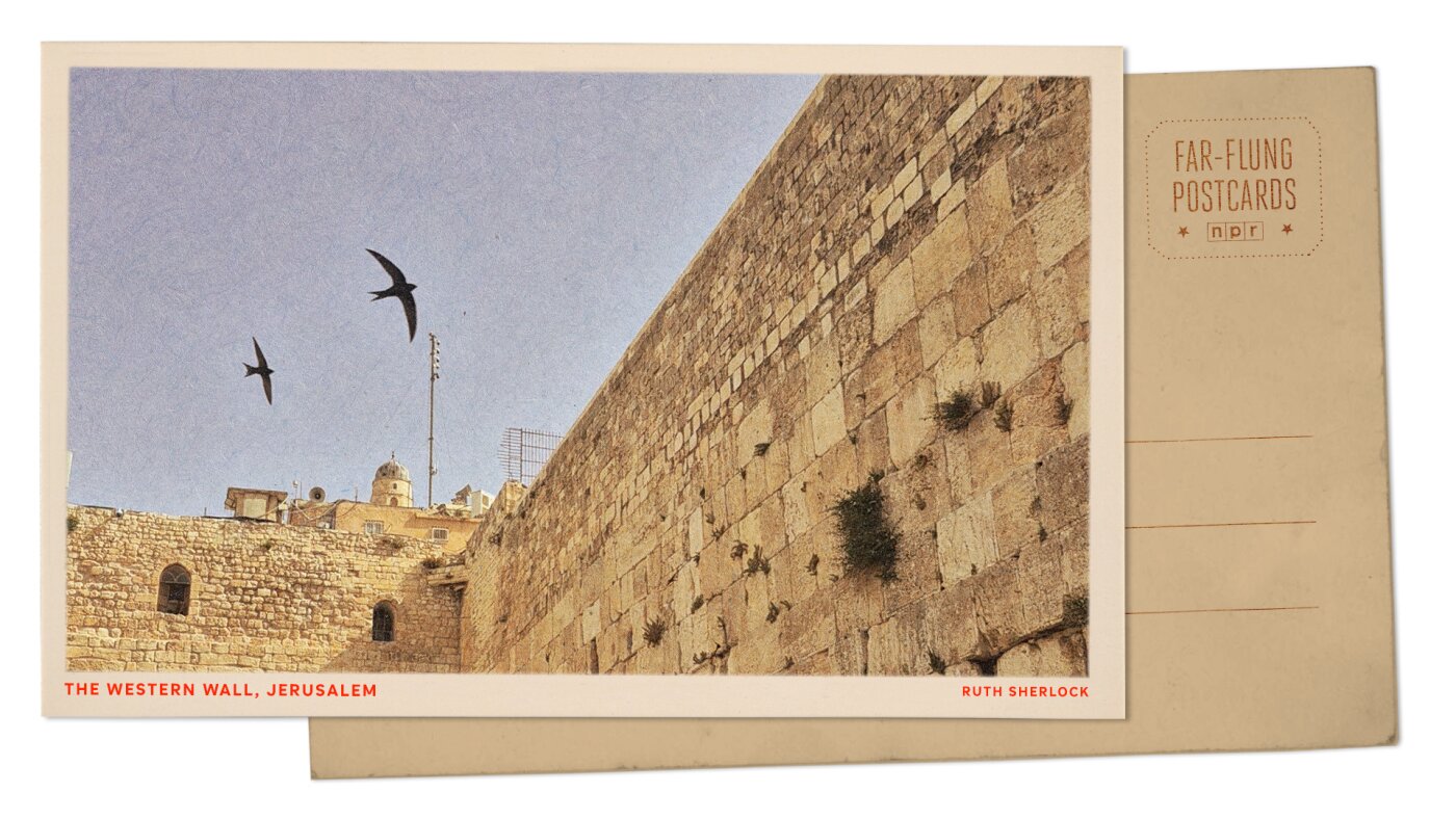 You are currently viewing Swifts fly over the Western Wall in Jerusalem : NPR