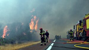 Read more about the article France wildfire forces 250,000 to evacuate as blaze nears Bordeaux