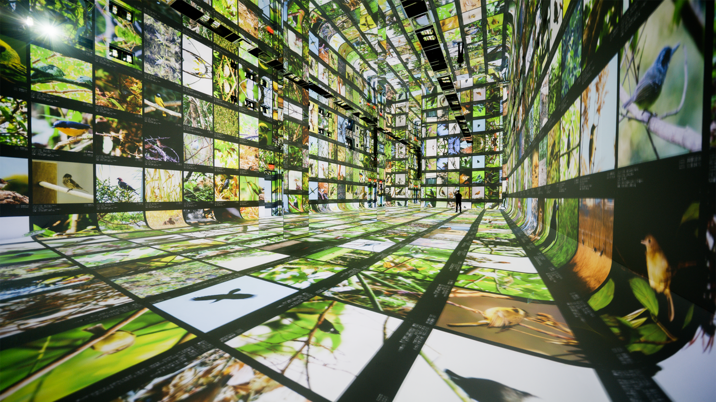 You are currently viewing At the AI art museum Dataland, Refik Anadol says ‘machines are collaborators’ : NPR