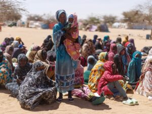 Read more about the article Inside the secret battle to document RSF abuses in Sudan
