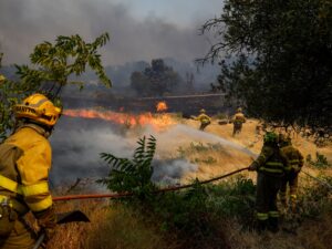 Read more about the article Spanish police accuse tractor driver of sparking wildfire as blazes spread
