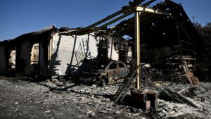 Read more about the article Spain and France’s wildfire crisis : NPR
