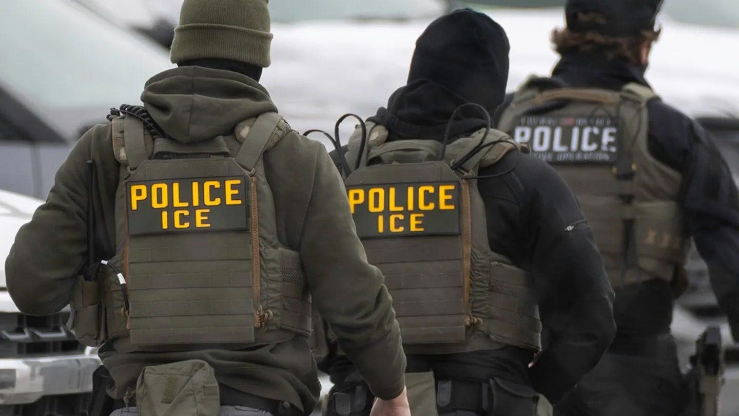Read more about the article Trump admin has lost many cases alleging immigration agent assaults: report