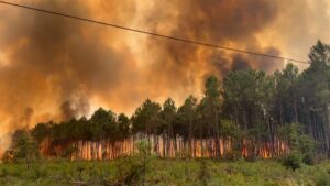 Read more about the article Bordeaux wildfire burns 3,100 hectares, 20,000 evacuated | Newsfeed