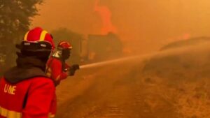 Read more about the article Spain declares national emergency over wildfires | Climate
