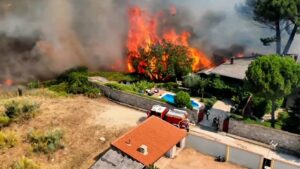 Read more about the article Wildfire survivors tell of narrow escape as Spain declares emergency | Climate Crisis