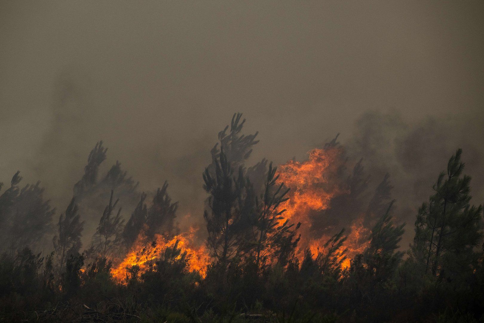 You are currently viewing French wildfires trigger mass evacuations around Bordeaux | Environment