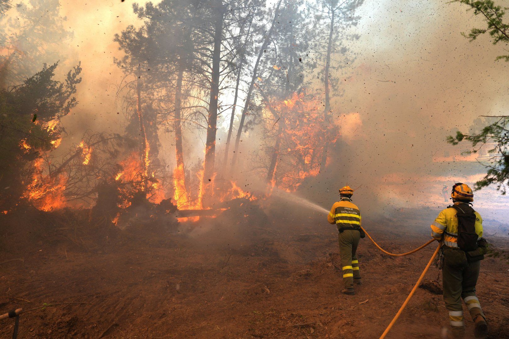 You are currently viewing https://drive.google.com/drive/folders/17KZlAAj-H_rMiqJSrup6WfcERG75cAjR?us | Environment | Al Jazeera