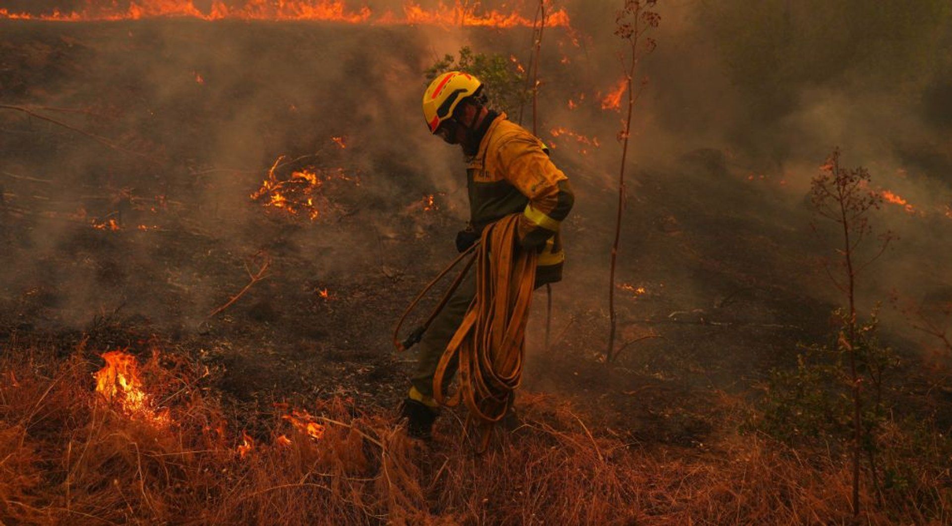 You are currently viewing What’s causing the unprecedented wildfires in Europe? | Climate News