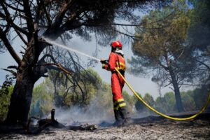 Read more about the article Firefighters battle wildfires in Spain’s eastern Castellon province | Newsfeed