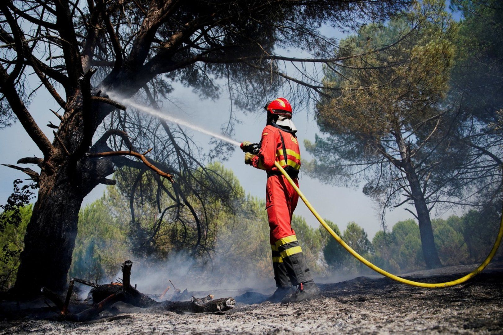 You are currently viewing Firefighters battle wildfires in Spain’s eastern Castellon province | Newsfeed