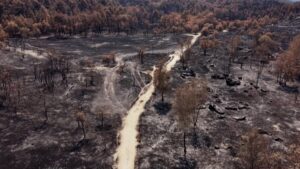 Read more about the article ‘First somewhat optimistic day’ in France since fire outbreak says prefect | Climate
