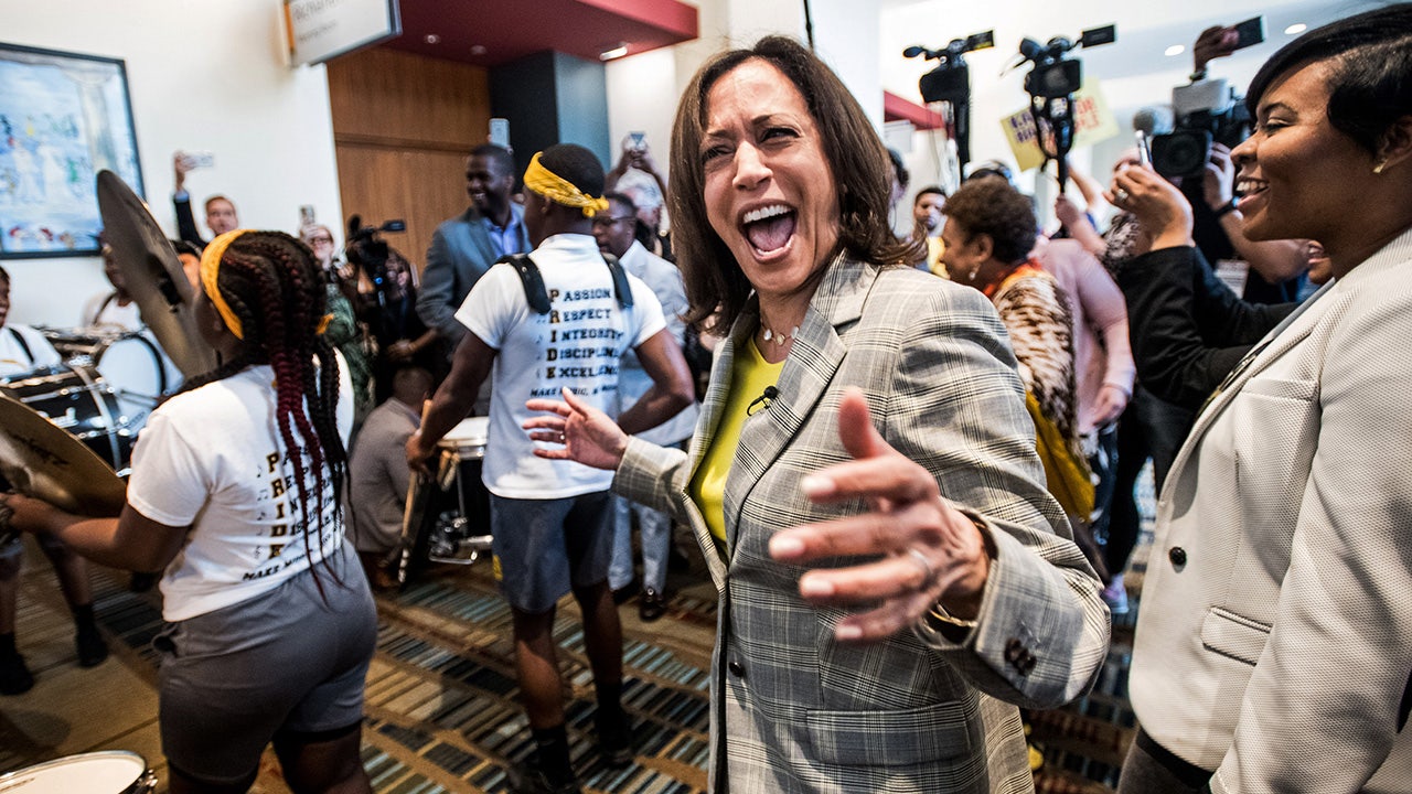 Read more about the article Kamala Harris called the ‘obvious’ 2028 frontrunner by Democratic aides