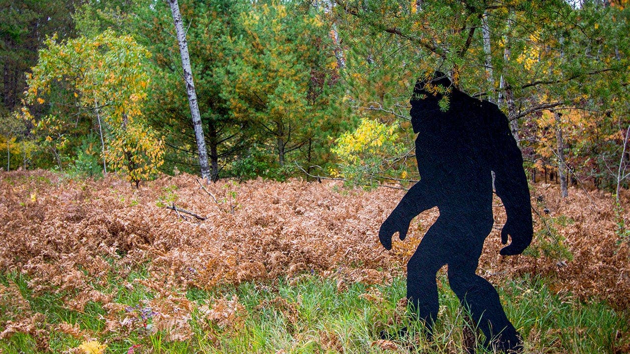 You are currently viewing Witness recounts Fourth of July weekend Bigfoot sighting in Connecticut, says ‘there were no boobs’