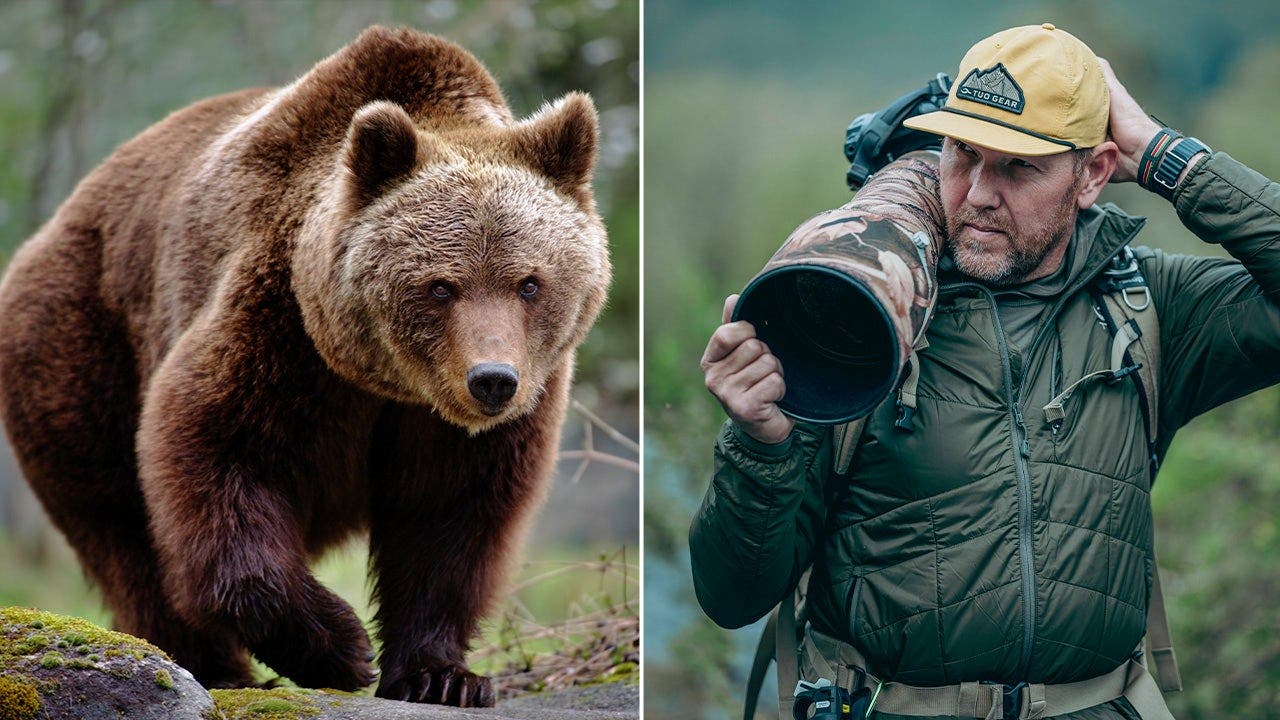Read more about the article Wildlife photographer stays ice-cold as massive brown bear walks right up to his camera