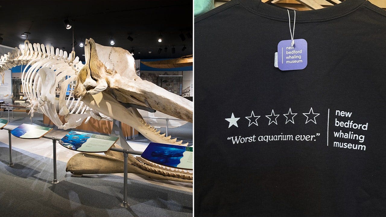 You are currently viewing New Bedford Whaling Museum turns bad Google review into viral merchandise win