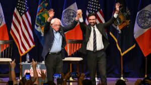 Read more about the article Mamdani claims the Democratic Party is run by ‘big money interests’
