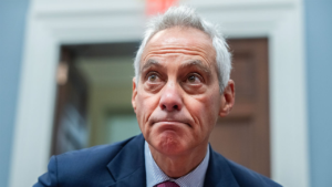 Read more about the article Rahm Emanuel warns socialist candidates could hurt Democrats in swing districts