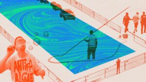 Read more about the article D.C. Reflecting Pool keeps viewers, bloggers glued : NPR