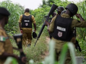 Read more about the article Armed attackers kill more than 20 in northwest Nigeria