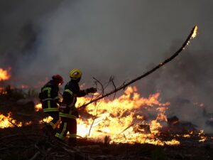 Read more about the article More than 360,000 evacuated as wildfires rage in France and Spain