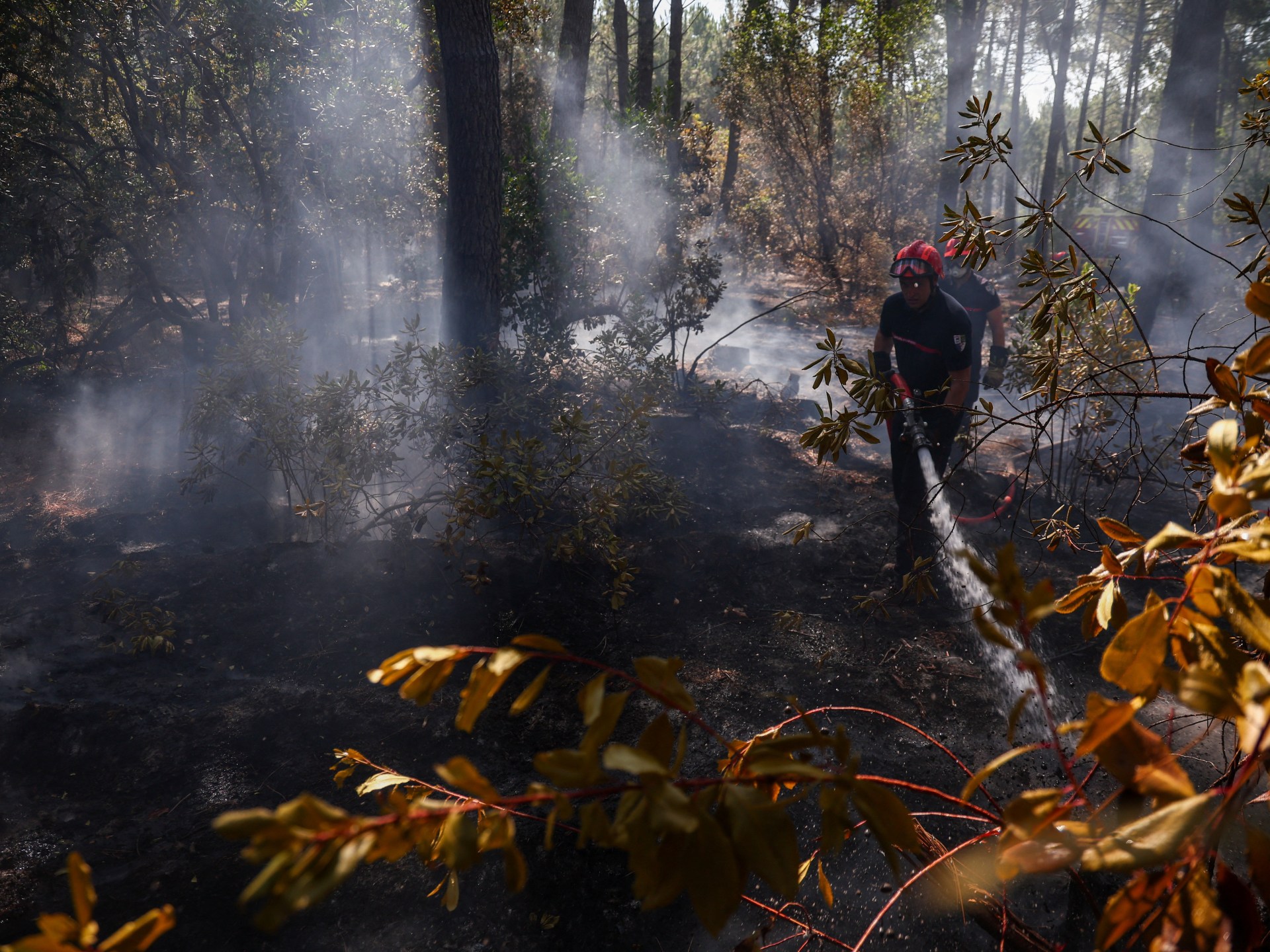 You are currently viewing France and Spain brace for heatwave that could worsen raging wildfires
