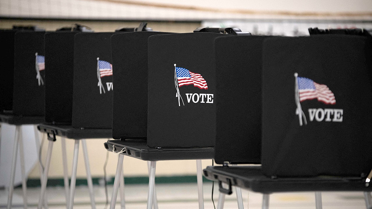 Read more about the article Michael Smerconish says NJ error proves noncitizen voting does happen here