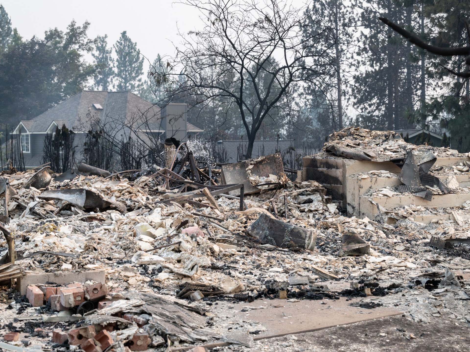 You are currently viewing US arrests suspect over Spokane wildfire as tens of thousands flee blaze