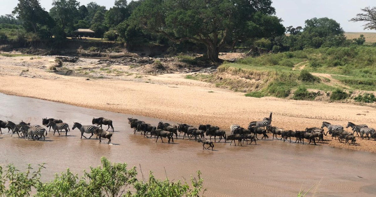 You are currently viewing The battle for the Maasai Mara: Can Kenya’s most iconic ecosystem be saved?