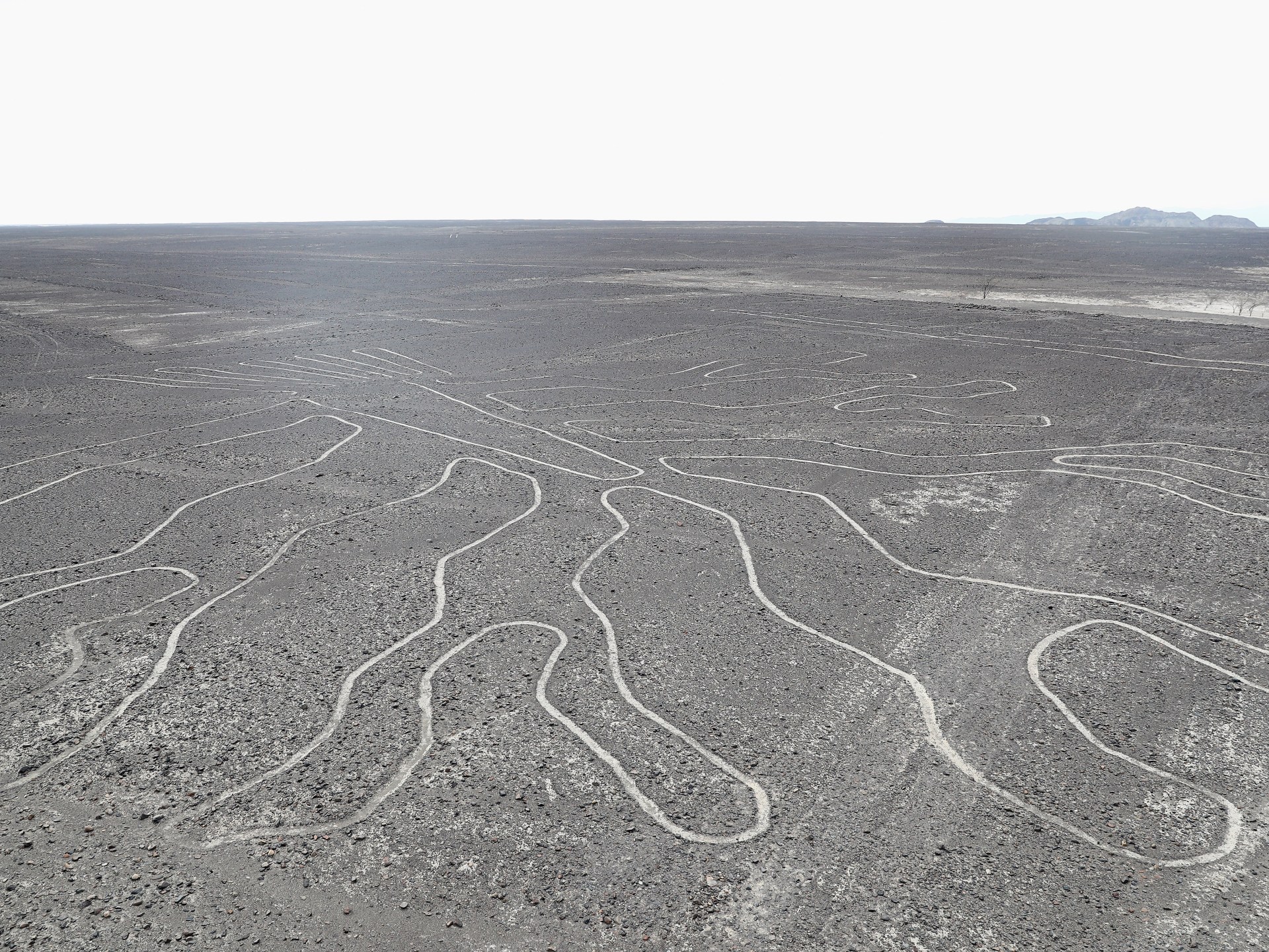 Read more about the article Police say 13 killed as small plane viewing Nazca Lines in Peru crashes