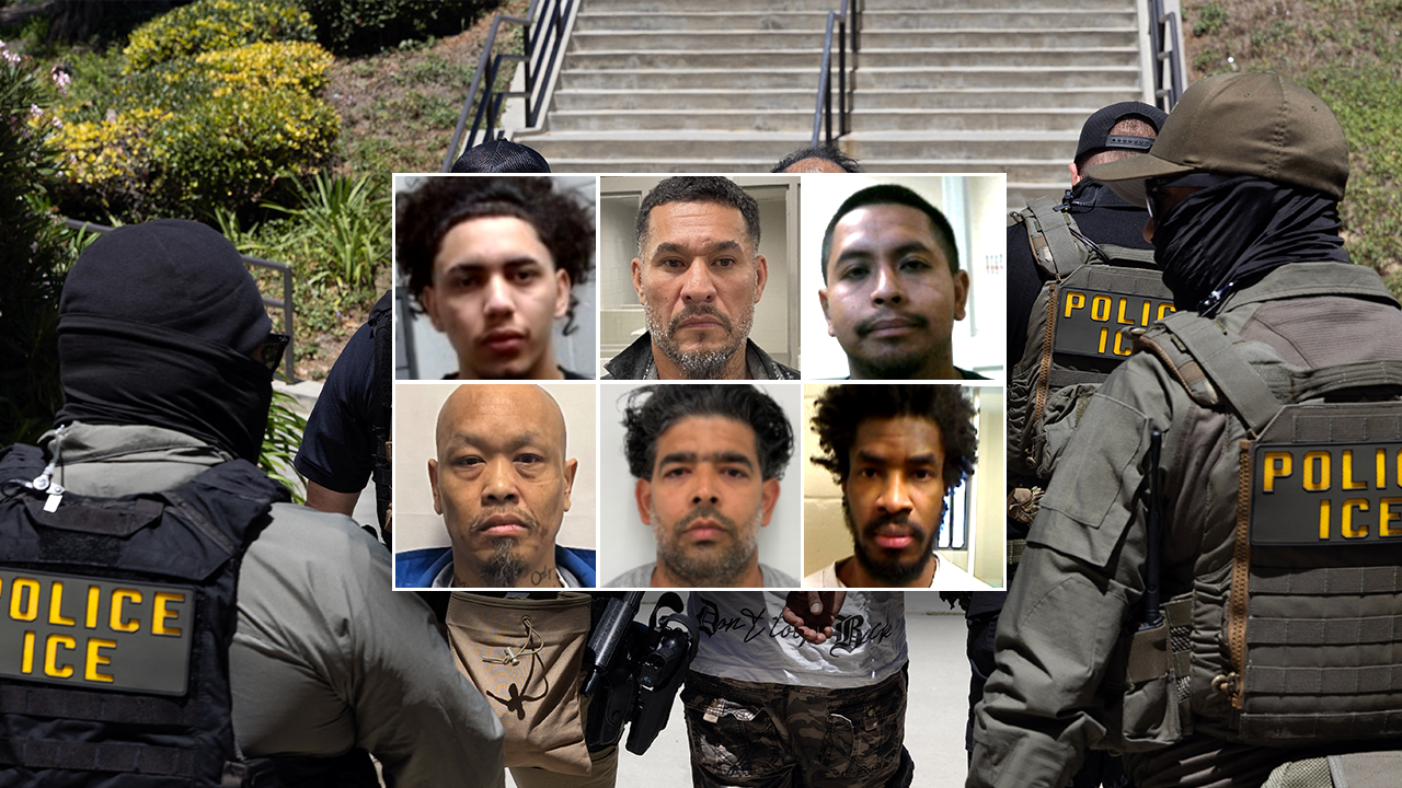 You are currently viewing DHS credits deportations of criminal immigrants for falling crime rates