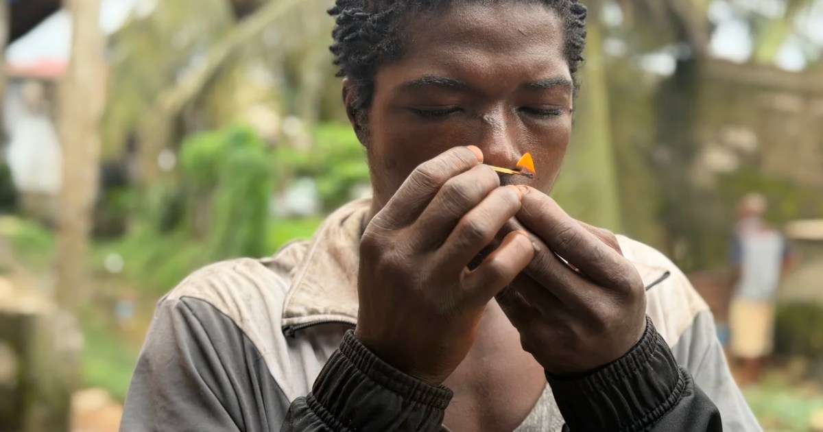 You are currently viewing Liberia’s kush crisis: The hidden trade behind a generation at risk