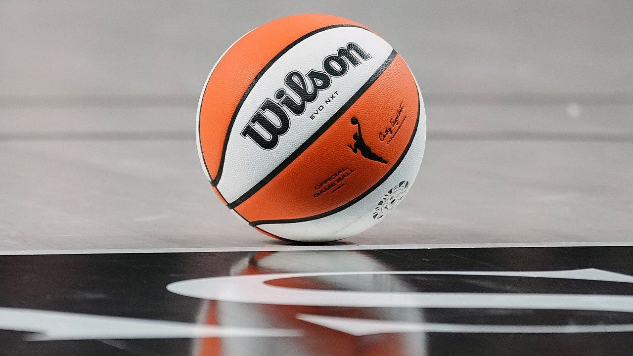 You are currently viewing WNBA fan goes viral for half-court shot horror show that left him sprawled on the court